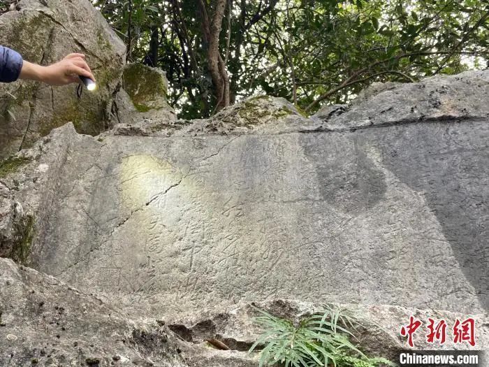 为什么宁静贴片这么贵聚焦浙里：中新社浙江新闻周报_https://www.jmylbn.com_新闻资讯_第33张