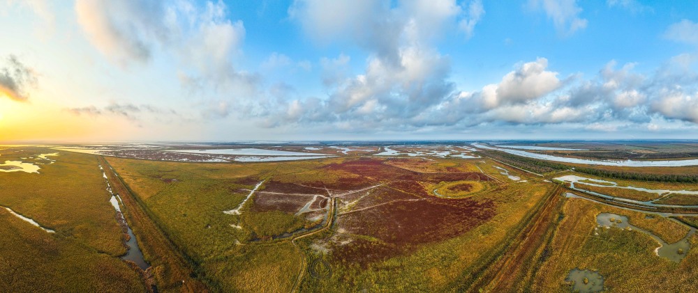 晨曦中的盐城湿地珍禽国家级自然保护区景色(2022年11月8日摄,无人机