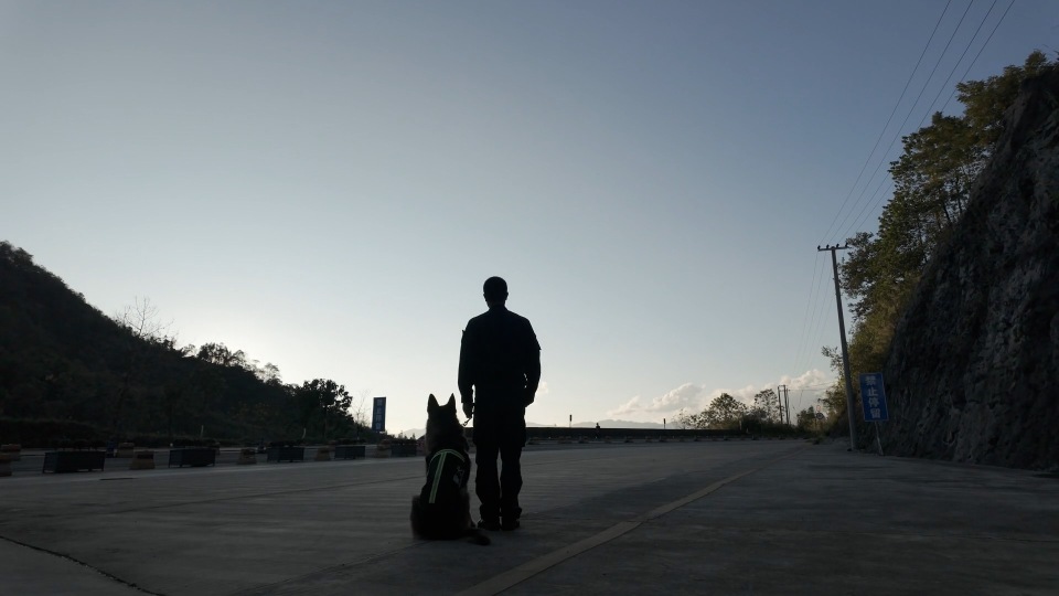 警犬龙虎光荣退役后辈衔来大红花