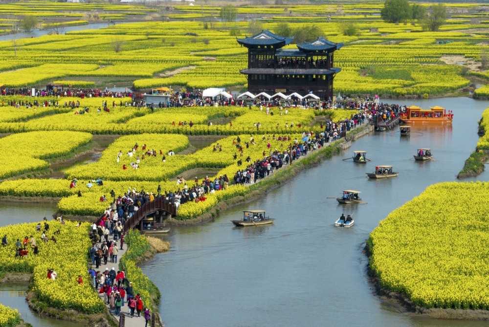 (环境)江苏兴化:千垛花海画中游