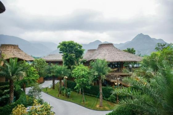 "幸福百千万 共话新花城"2024年网络大v行活动顺利举办