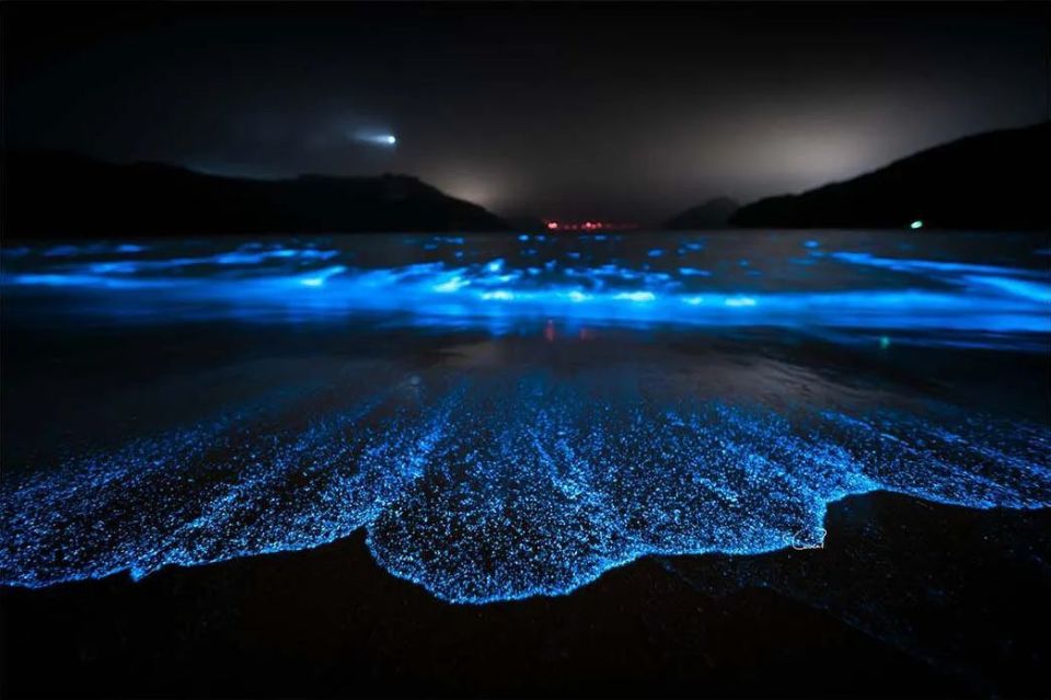 在平潭当元村,长江澳,镜沙,猫头墘等地,都能观赏到蓝色梦幻奇景,吸引