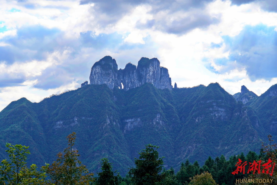吕洞山镇浓浓茶香沁人心千古茶事传美名