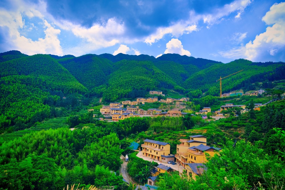 茂名信宜:文明生沃野 心田沐新风