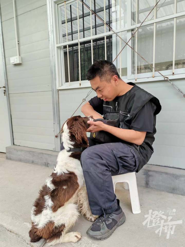 大赛在即,八依,辛巴,麦克斯……犬力爆表,"熊猫"和"豹子"随行出征