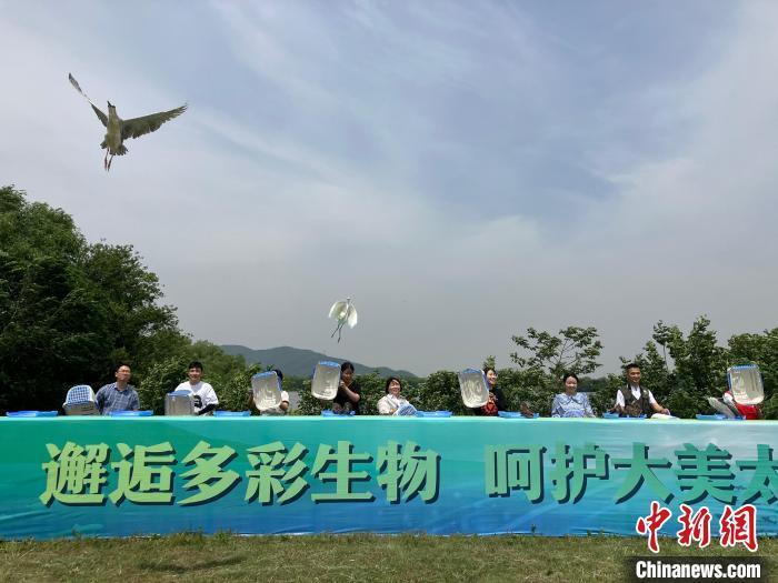 邂逅多彩生物环太湖昆蒙框架实施联盟在浙江湖州成立