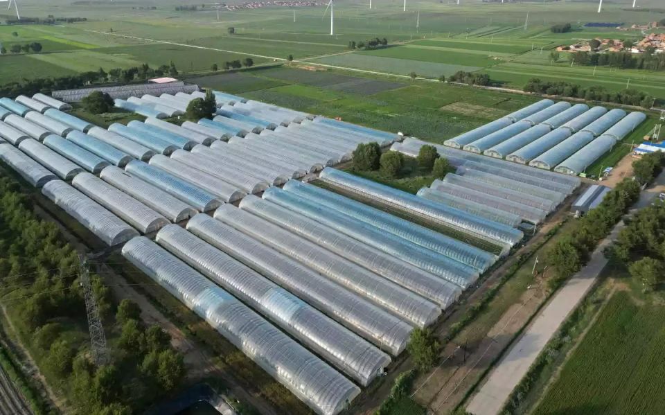 受访者供图疏解北京畜牧企业30余家自2014年开始,北京市调整农业产业