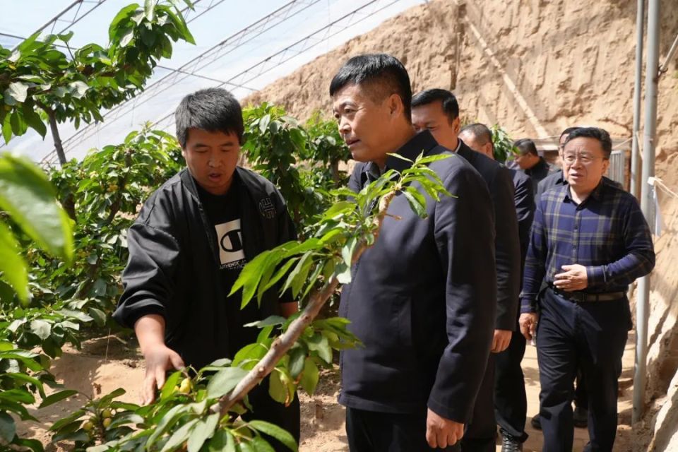 【子长新闻】田兆虎深入部分镇街调研指导工作_腾讯新闻