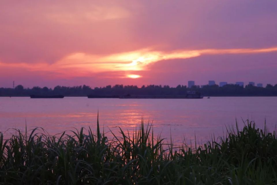 早安南京|夏天,来江边开启一场心动之旅!