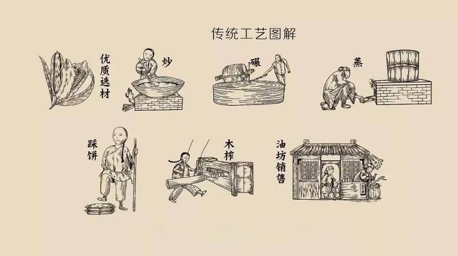 这里所说的"员木"即油茶,可见当时民间就开始取油茶果榨油以供食用.