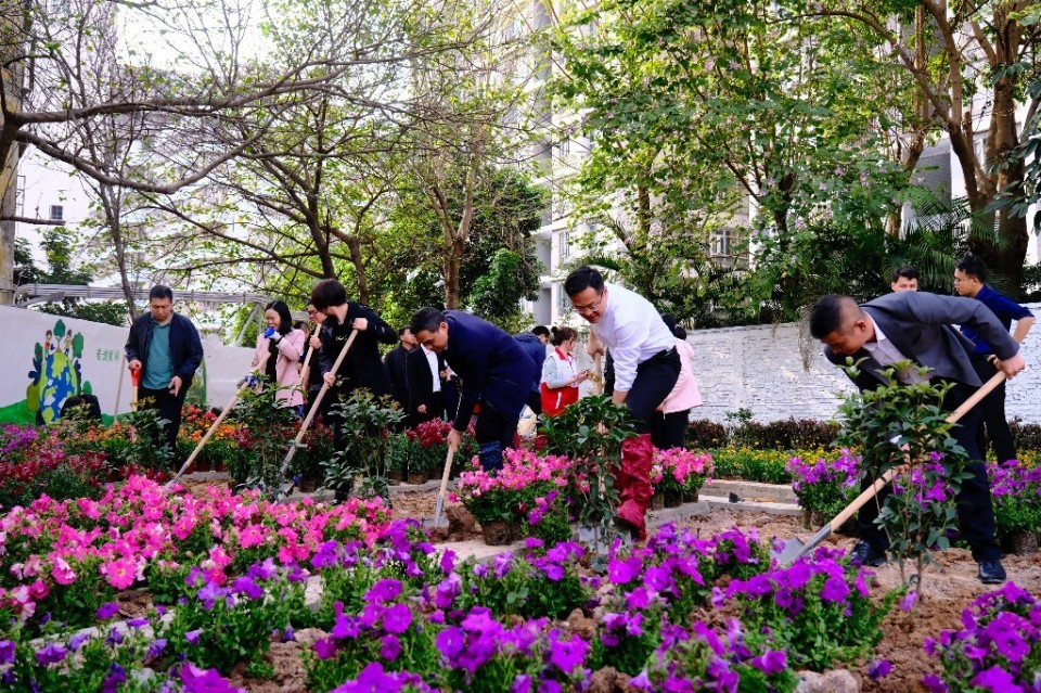佛山祖庙街道将建设"百园百景"绿美空间_腾讯新闻