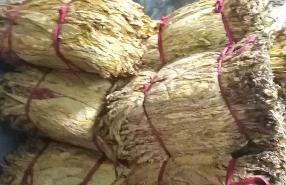 [南方生姜网-图片加载]