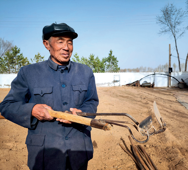 统种共富：让农民收益最大化_腾讯新闻