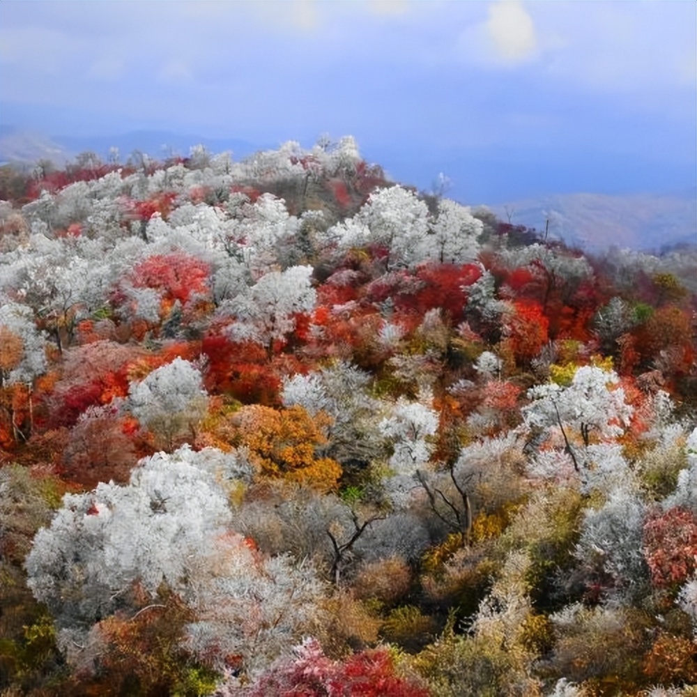 白山四方山风景区图片