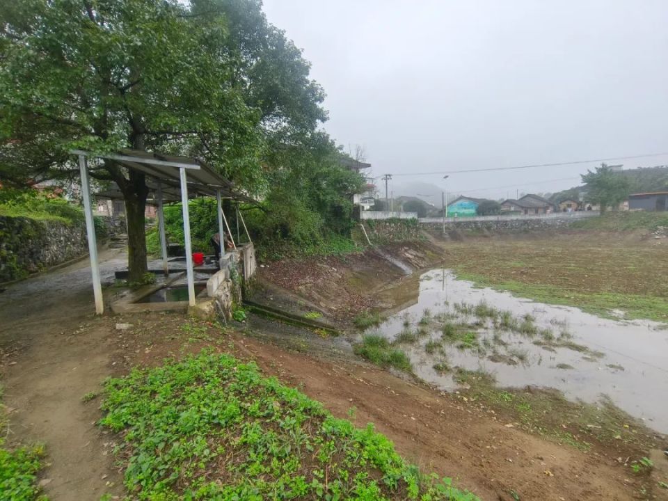 新田北湖湿地公园图片