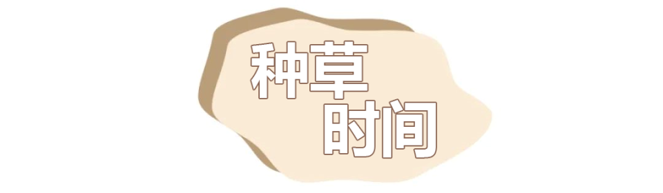 20 款乐雅池春夏新品闭眼入，件件都好看！(图2)