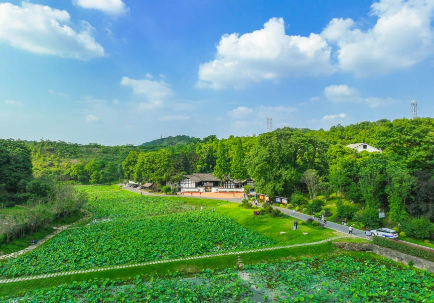 益阳美景图片图片