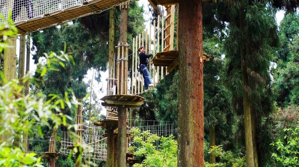 恐龙谷,绝壁栈道……新场景激发洪雅旅游新活力
