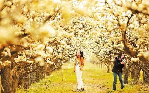 花样文旅点燃春日消费新活力——第四届雄安·雄州文化艺术节观察