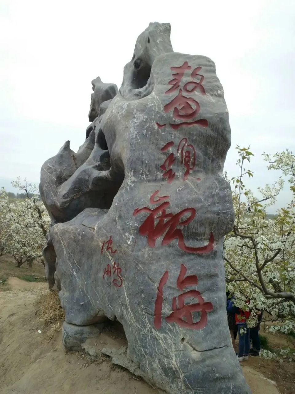 鳌头观海景区砀山梨树王风景区为4a级风景区,位于砀山县良梨镇,距砀山