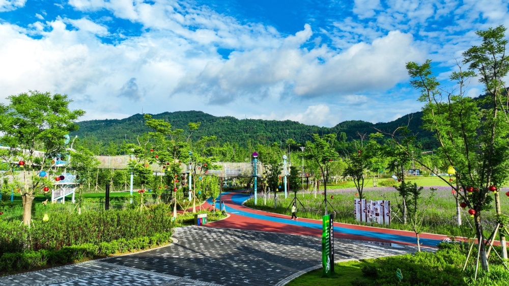 5月19日,雨过天晴,在巴中市平昌城市体育运动公园,绿树被雨水冲刷得
