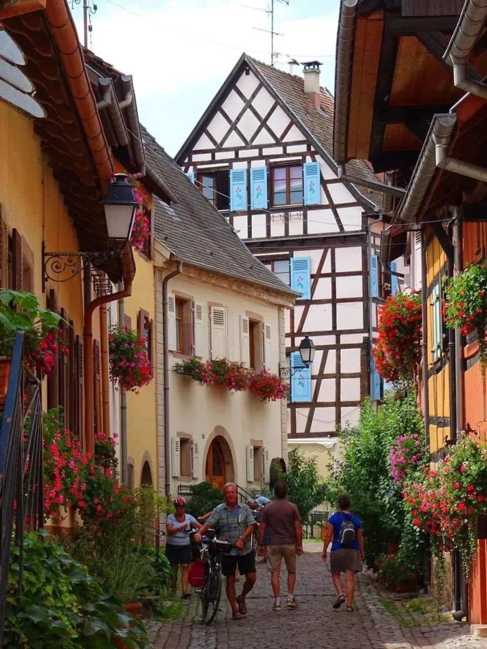 中学课文《最后一课》欺骗大家感情?都德说"自由是爱国的基础"