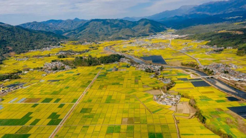不负春光畅游花海腾冲高黎贡花海节等你来