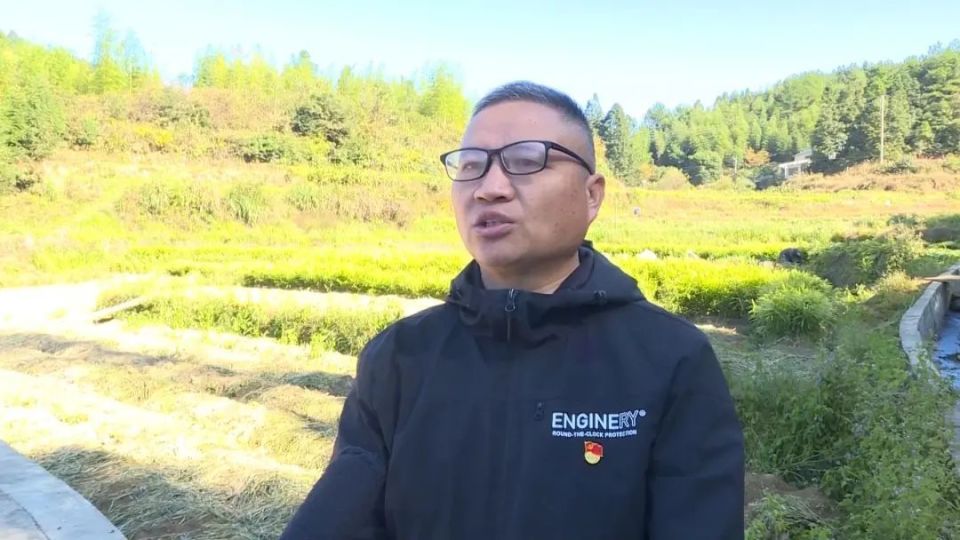 [南方生姜网-图片加载]