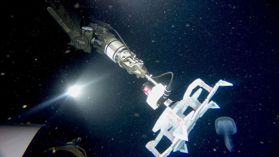 手术钳怎么拿折纸竟然可以如此高端！_https://www.jmylbn.com_新闻资讯_第4张