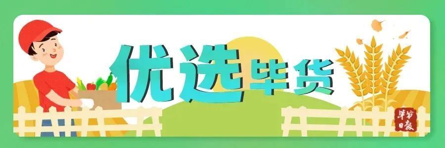 优选毕货丨上茶山,品金沙贡茶_腾讯新闻