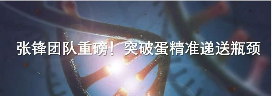 前沿 | Nature Cancer：癌细胞的“临终遗言”加速癌转移！新发现或改变癌症治疗结局？_腾讯新闻
