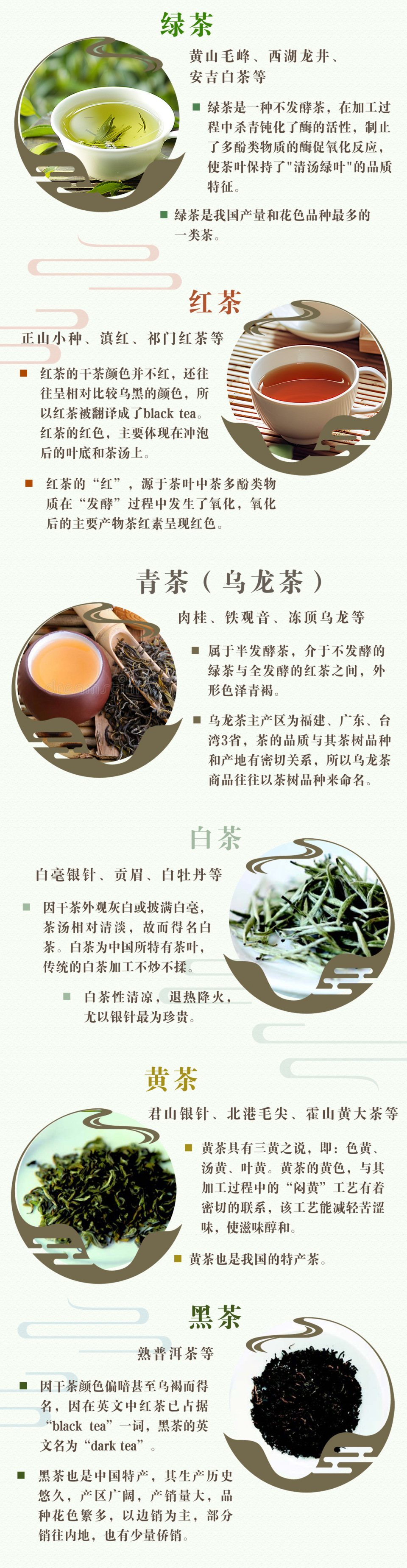 所有茶叶介绍和图片图片