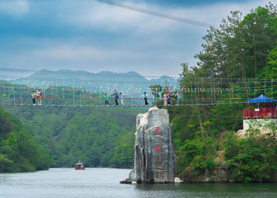 ▼这些景区门票半价木兰花海乐园.