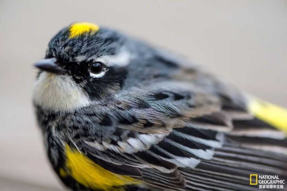 佩雷斯-格拉纳多斯在西班牙阿利坎特大学(university of alicante)