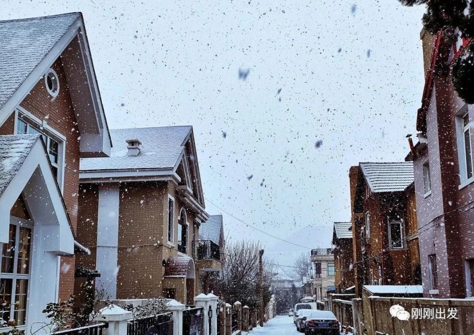 一下雪,大连就美成了童话