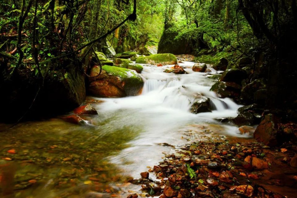 石门峡,茶马古道,金山原始森林,陇西世族庄园等景点,是这炎炎夏