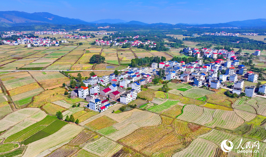 江西永新：阡陌纵横 路畅景美_腾讯新闻