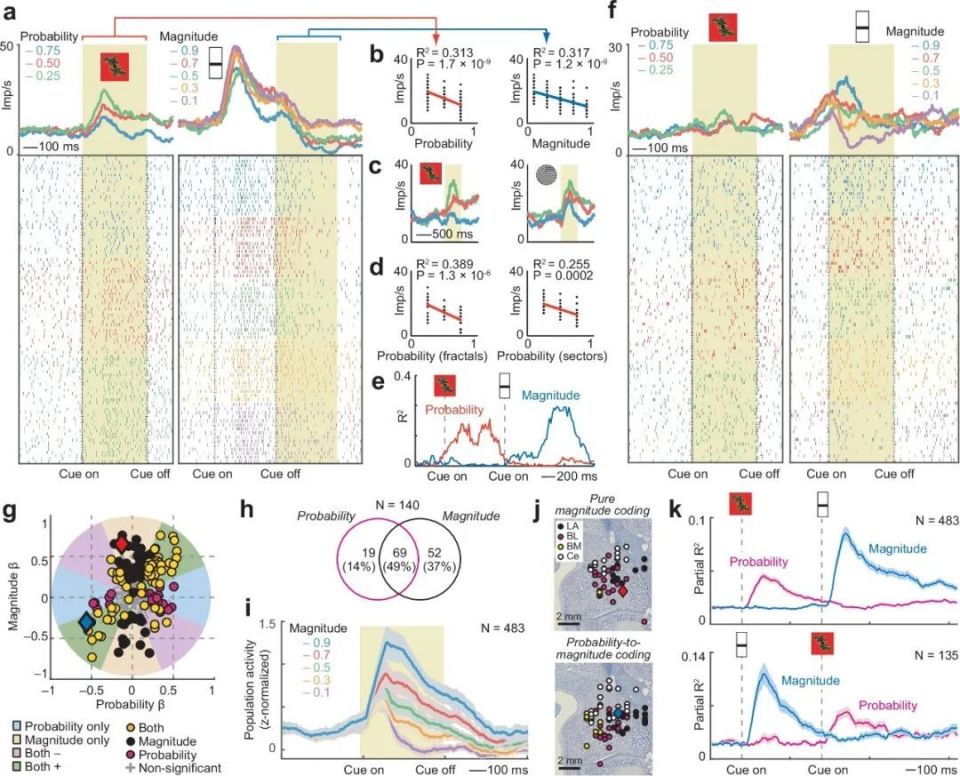心电图机器怎么看追问weekly ｜ 过去一周，脑科学领域有哪些新发现？_https://www.jmylbn.com_新闻资讯_第4张