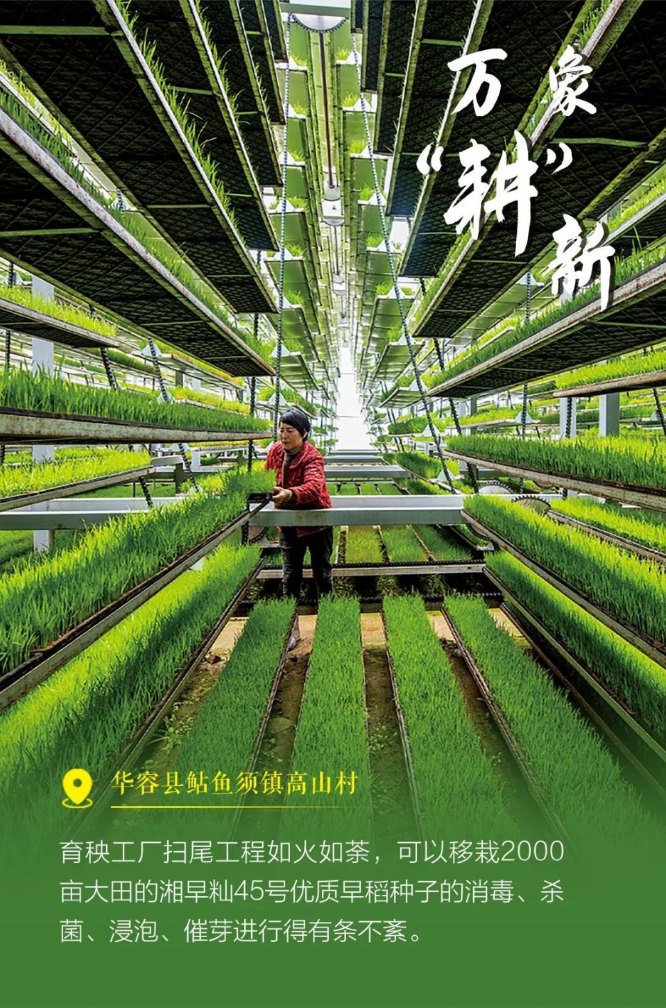 海报|农业撞上"黑科技",种地也能"高大上"