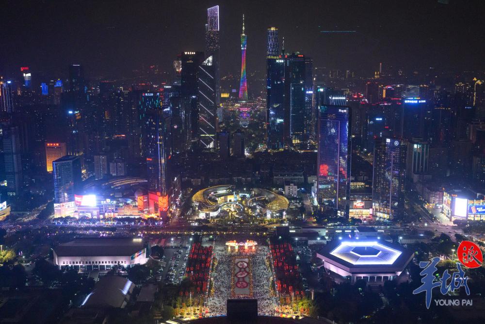 图集|天河花市除夕夜景美轮美奂【相见岭南春·请到过