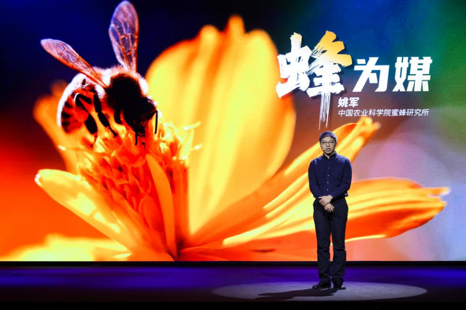 8月泰宁世界地质公园亲子科考营活动招募|科学少年中国行