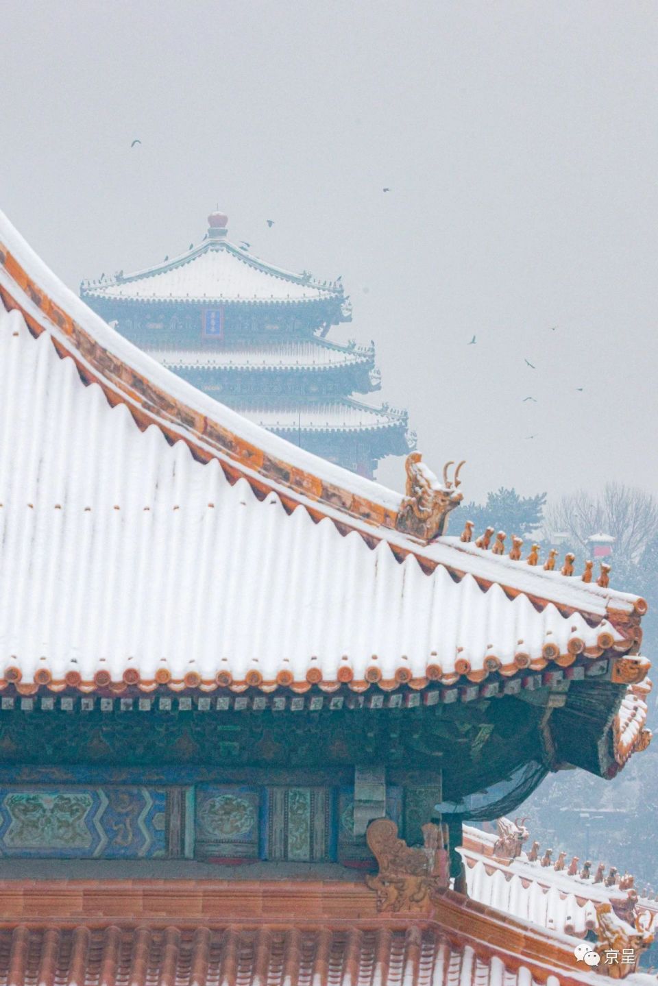 北京故宫竖屏图片图片