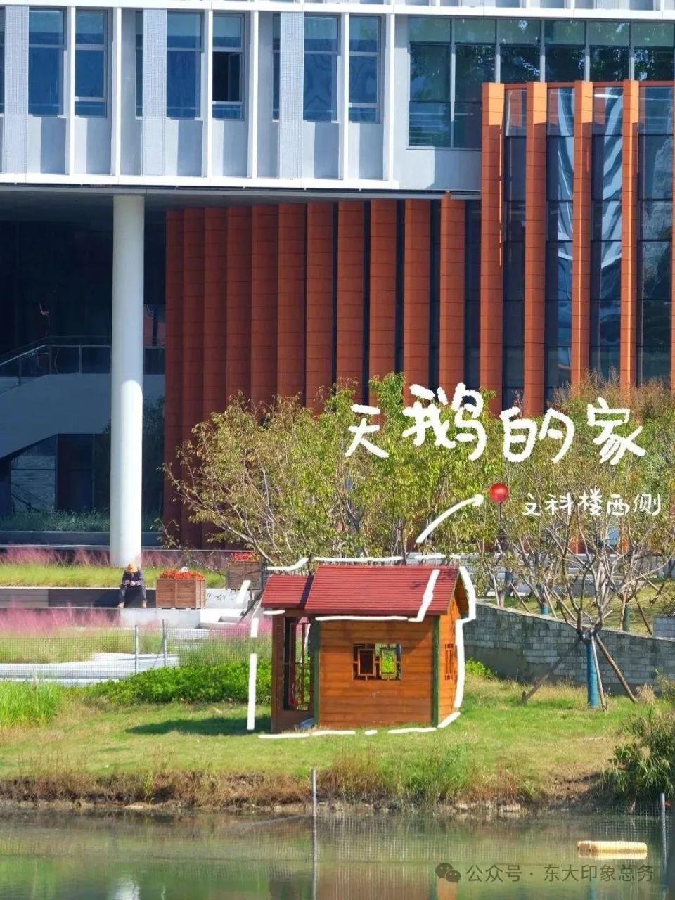 太好“rua”了吧！东大九龙湖又添“新萌宠”！_腾讯新闻