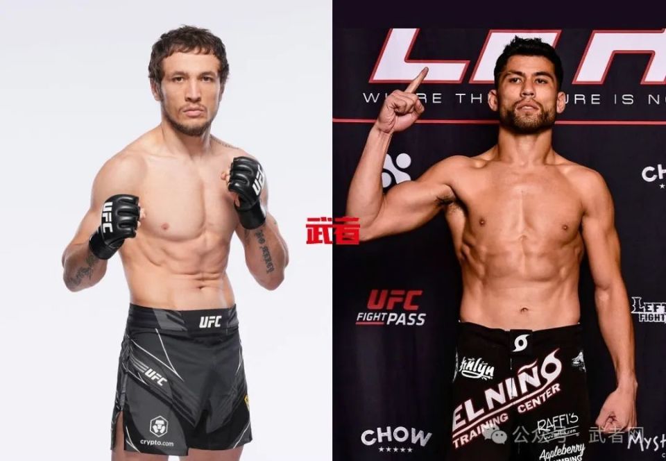 2月11日UFC：沙依兰与墨菲退赛，巴达萨严对阵阿米尔_腾讯新闻