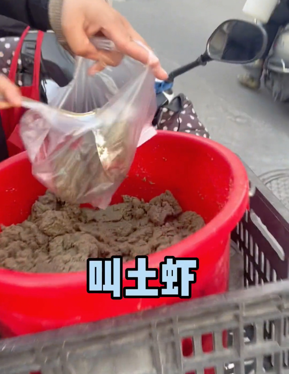 小伙晒长得像水泥一样的虾竟是潮汕美食有钱不一定能吃到