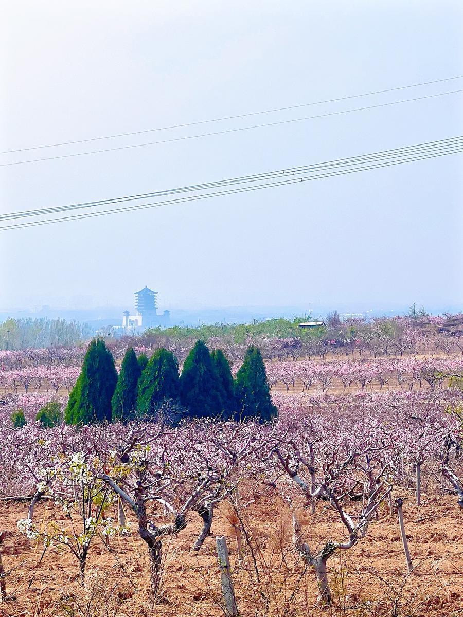 泰安市泰山区清明假日文化旅游市场安全有序