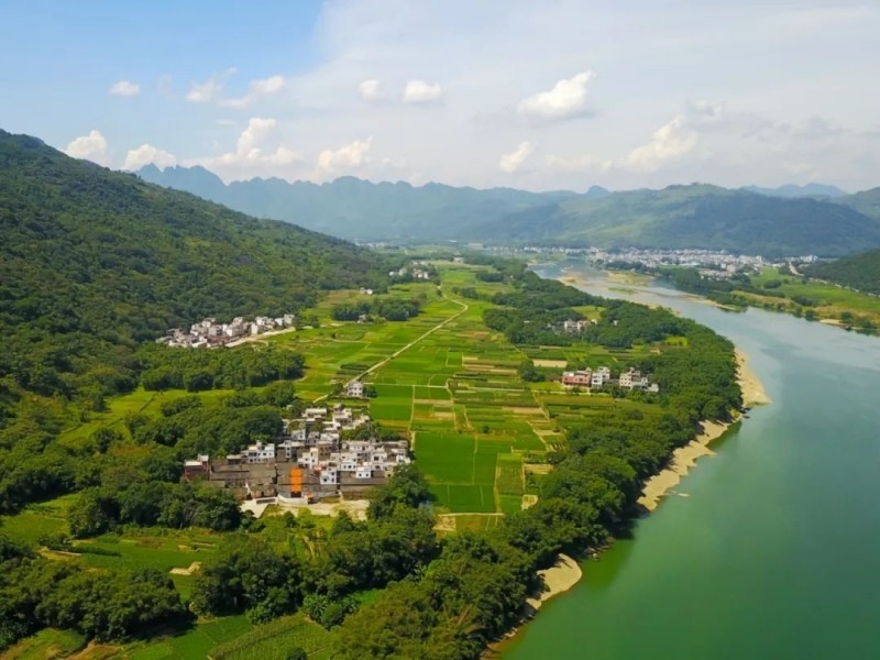 阳山：推进绿美生态建设，擦亮乡村振兴“新”底色_腾讯新闻