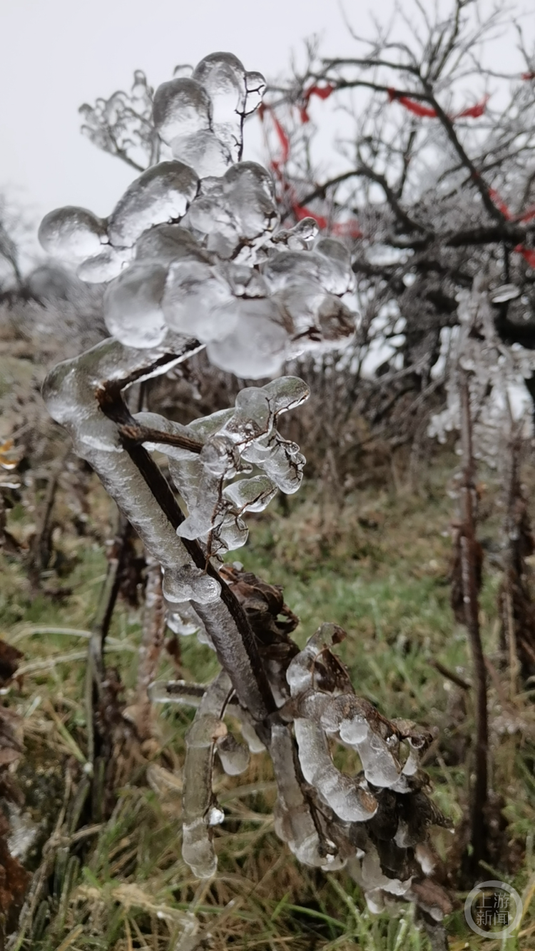 冻雨降临，红池坝美若仙境！-腾讯新闻