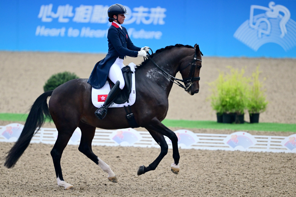 马术——盛装舞步个人赛完赛_腾讯新闻