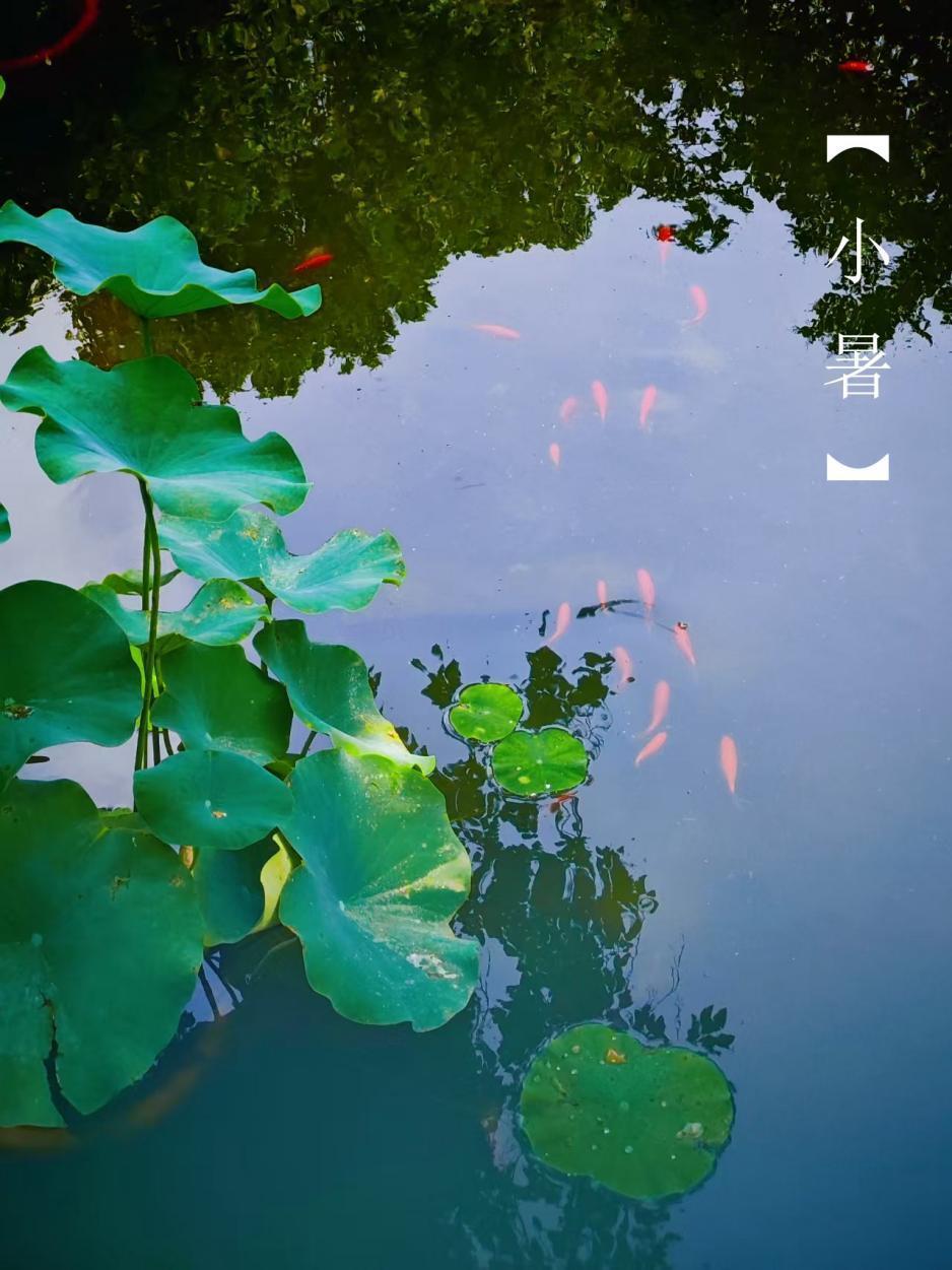小暑节气:热浪夏天